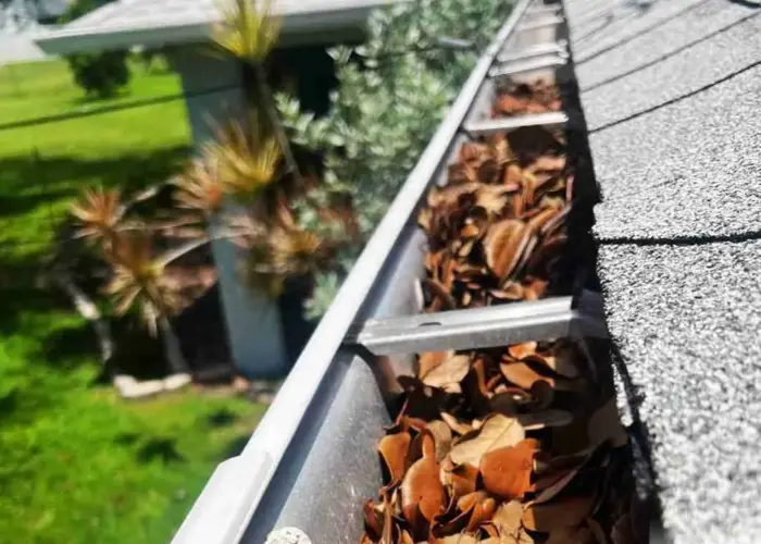 Hillsborough gutter cleaning home page